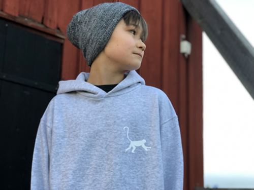 Kids hoodie Grey